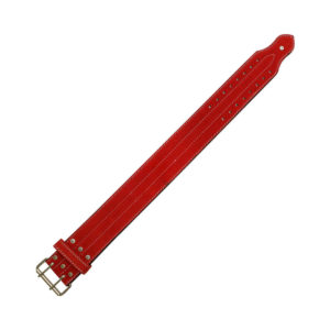Power Lifting Belt