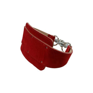 Leather Dipping Belt