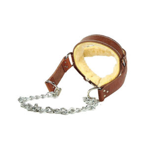 Head Harness