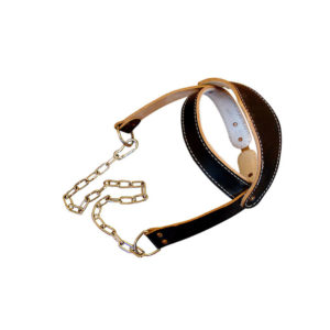 Head Harness
