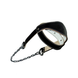 Head Harness