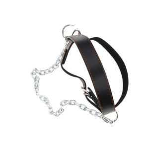 Head Harness
