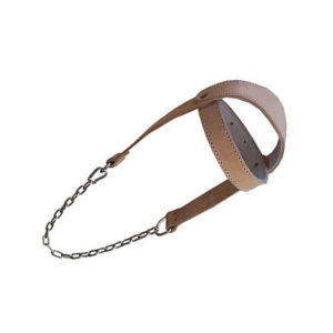 Head Harness